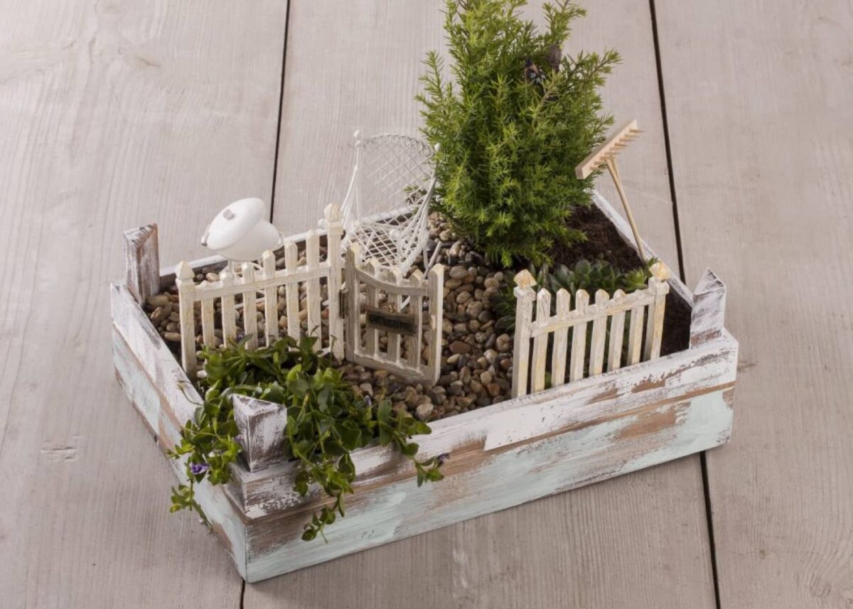 Mini-gardening, créer son petit jardin zen 🧘