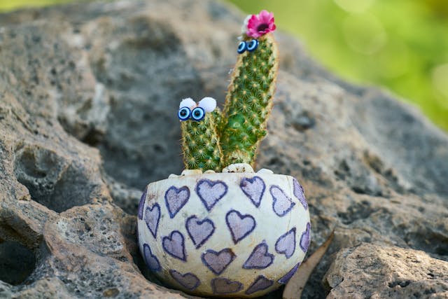 Transformer vos pots en objets décoratifs